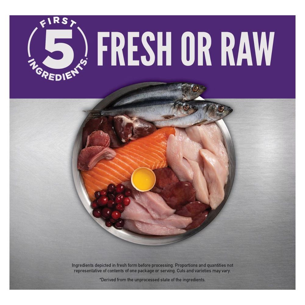 アダルト オリジナル