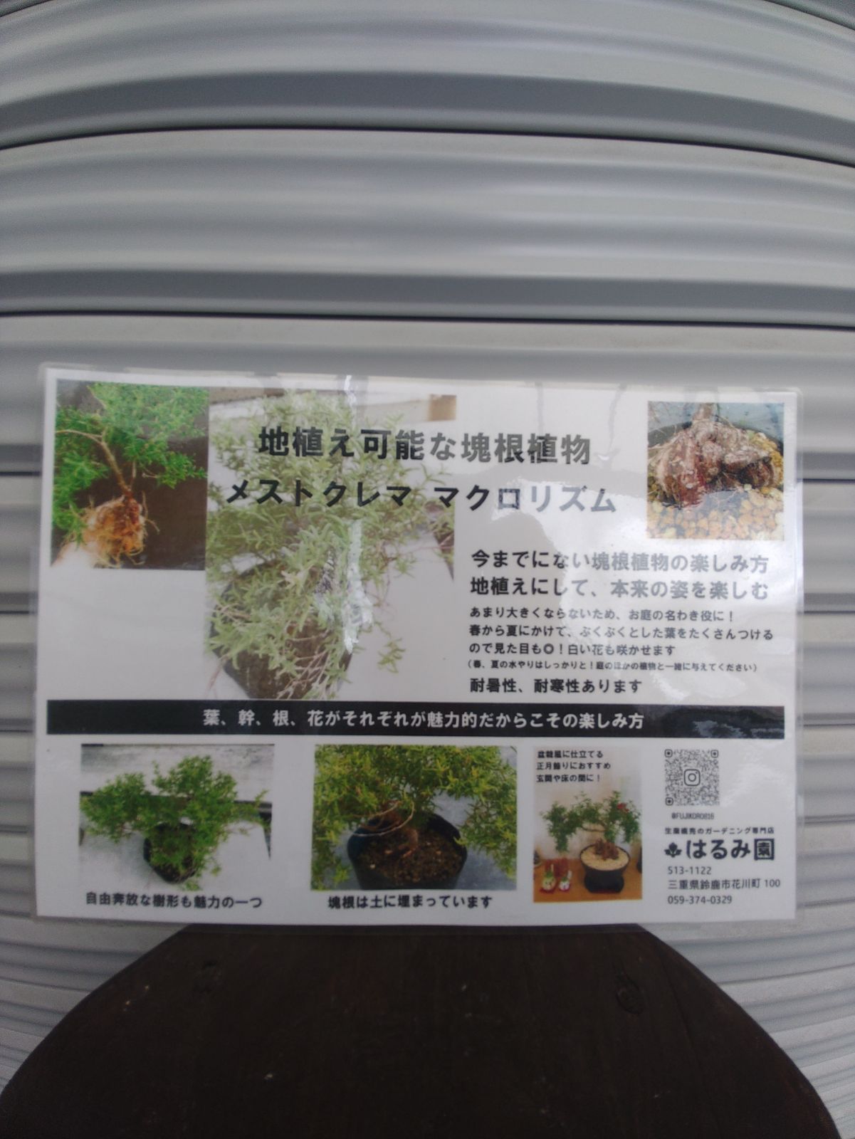 2024 メストクレマ マクロリズム➁