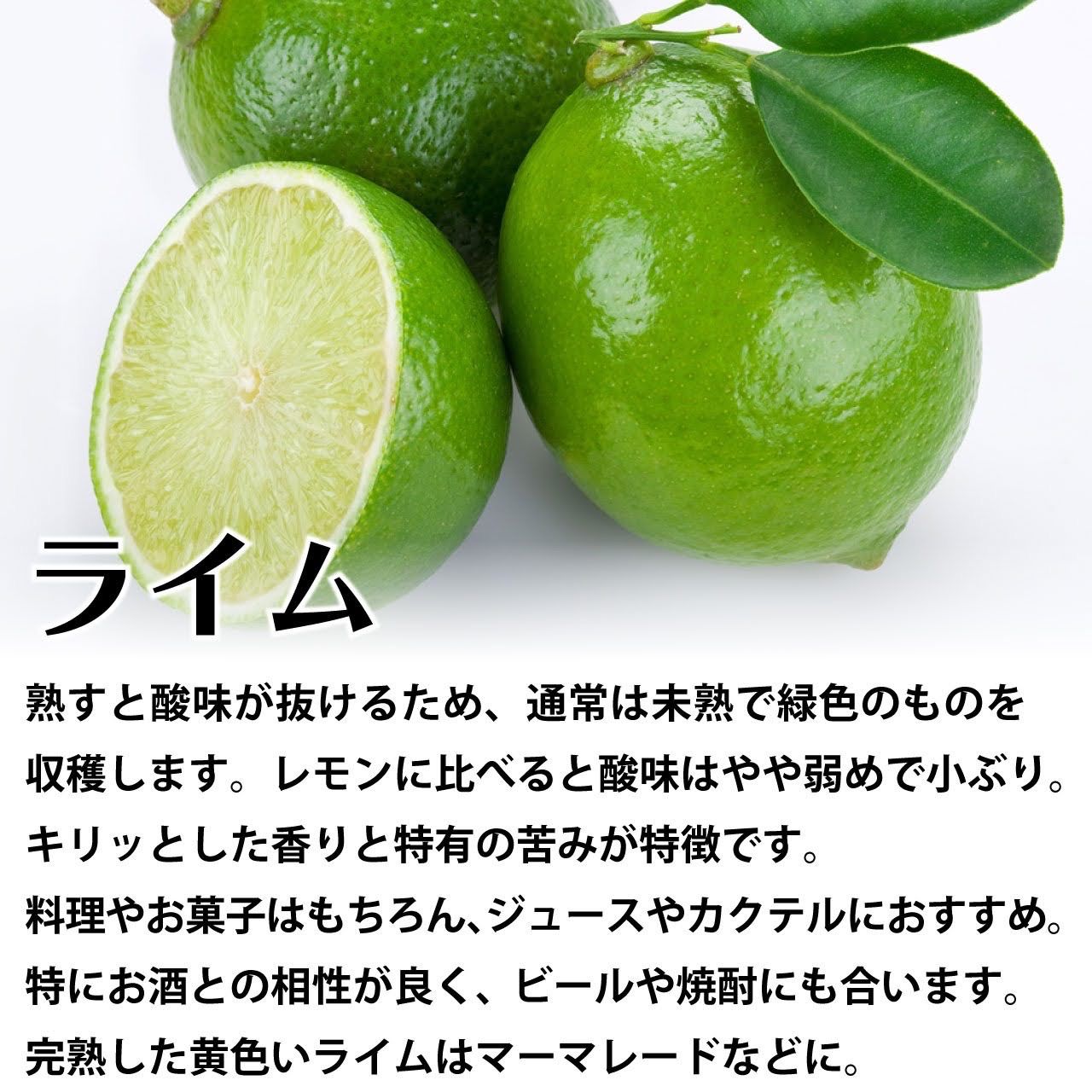 宮川早生 ライム