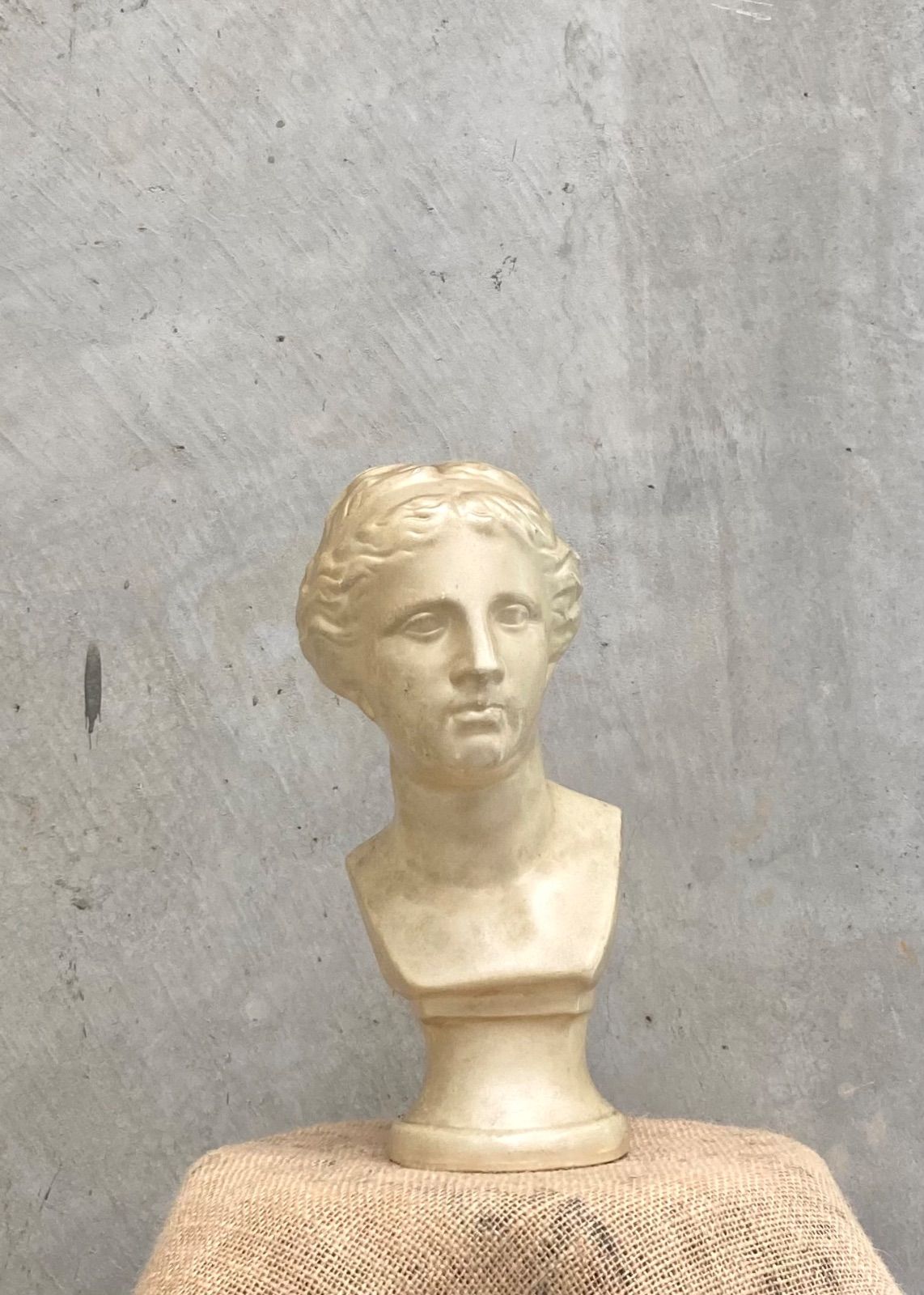 ミロのヴィーナス 胸像 インテリアオブジェ