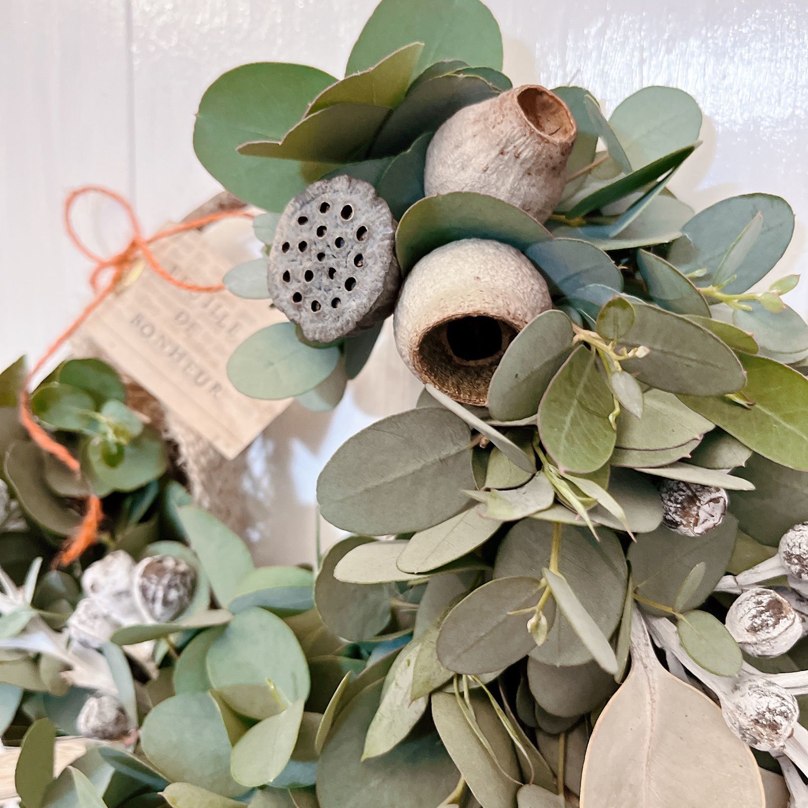 1.テトラゴナナッツ フレッシュ生花 ユーカリ 【公式通販】