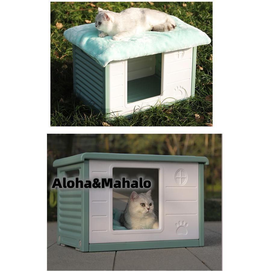 犬小屋 野良猫