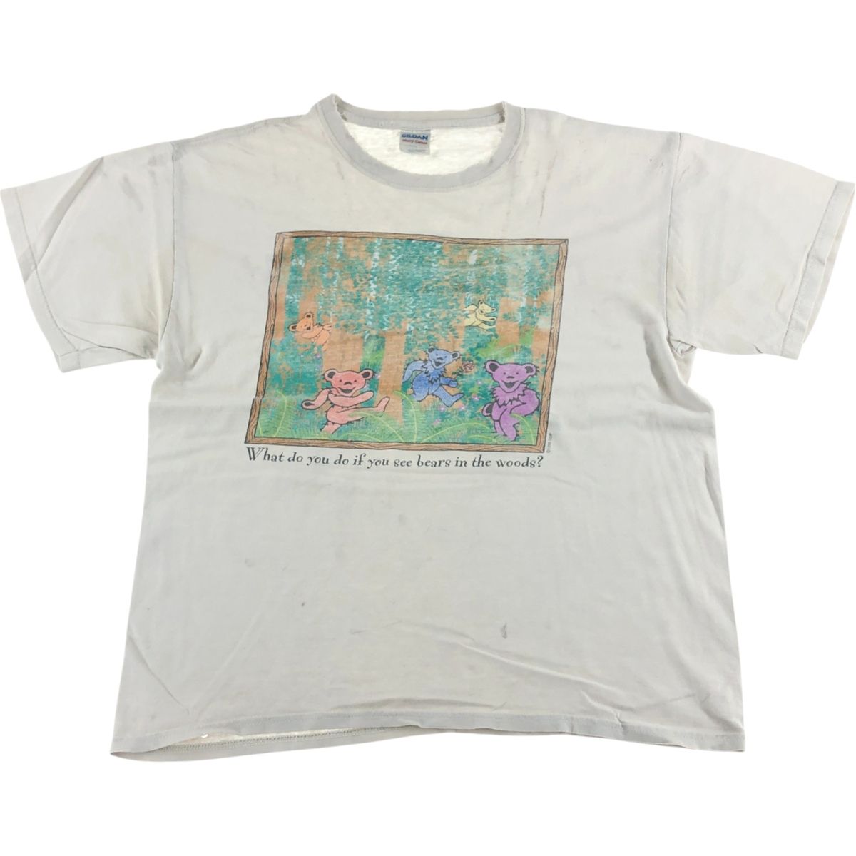 古着 90年代 ギルダン GILDAN GRATEFUL DEAD グレイトフルデッド DEAD BEAR デッドベアー バンドTシャツ バンT メンズL相当|eaa541667