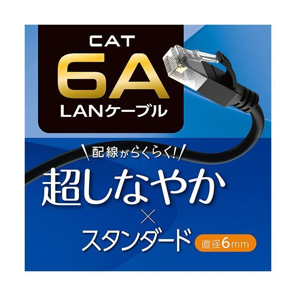 1本 ×5セット