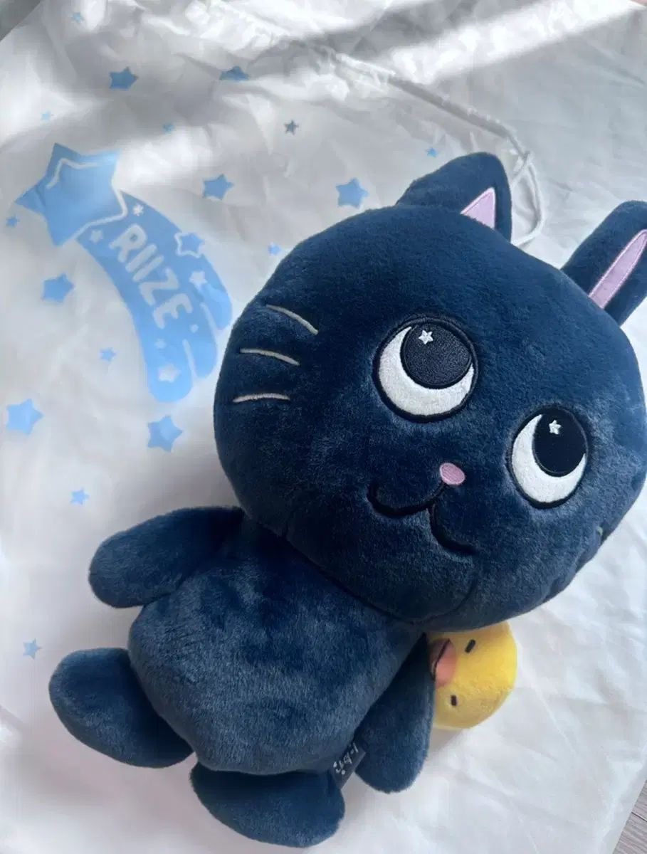 ライズ