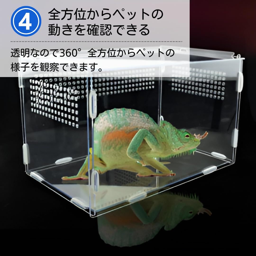 ateena 爬虫類 ケージ 飼育ケース 水槽 レプタイル 飼育セット
