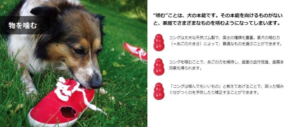 新しい季節 まとめ Kong コング パピーコング S ブルー ペット用品 Distrofija Rs