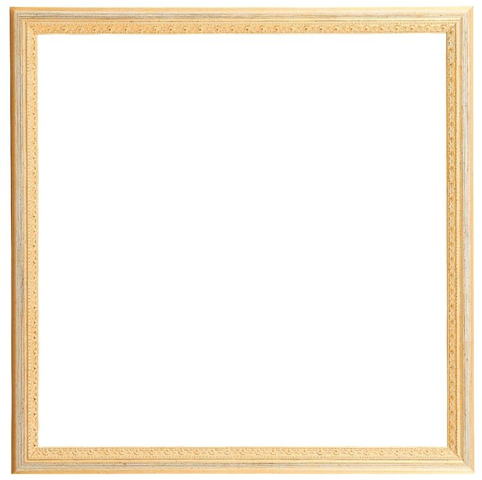【新品・3営業日で発送】ラーソン・ジュール・ニッポン 【4カラー】額縁 マジョルカ 30角 (内寸300x300mm) (DB31115)