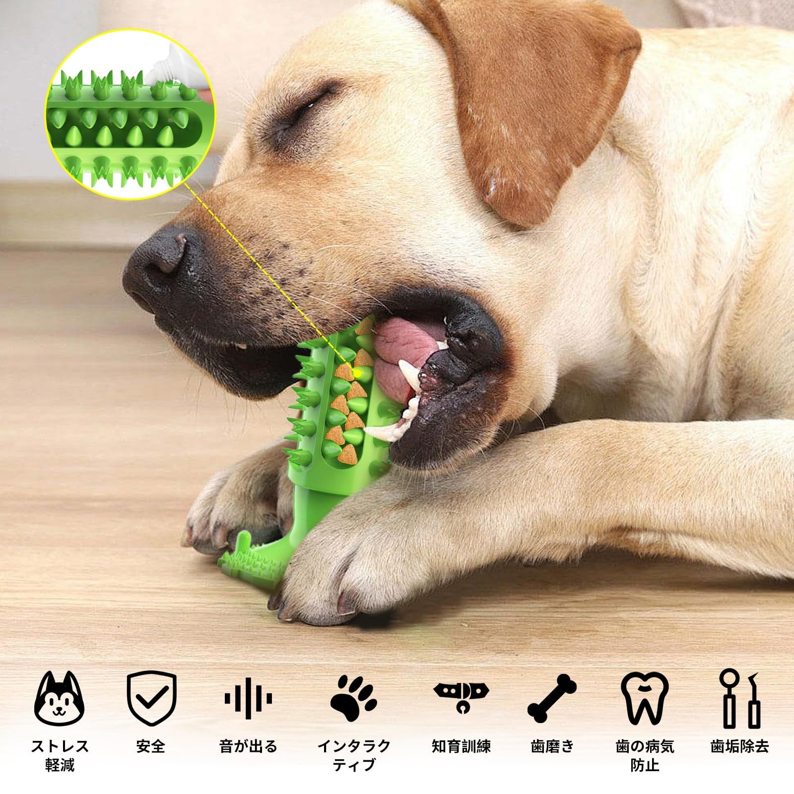 ドクターワンデル カンデル セット デンタルガム 公式サイト】しっぽラボ l Dr.WANDELは「歯垢, image size:1600x1600