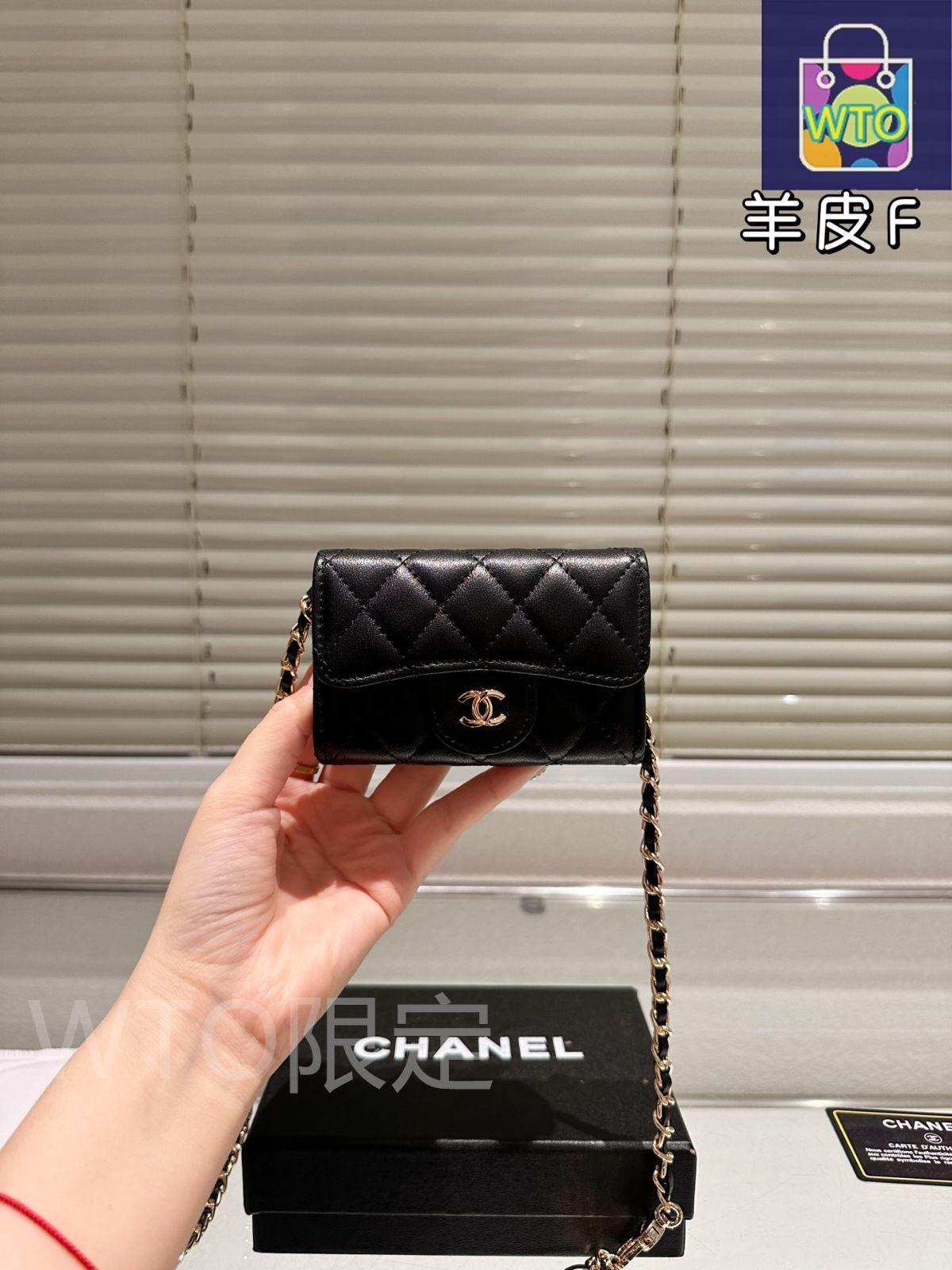 今日 CHANEL Chain Bag シャネル チェーンバッグ-WTO輸入2