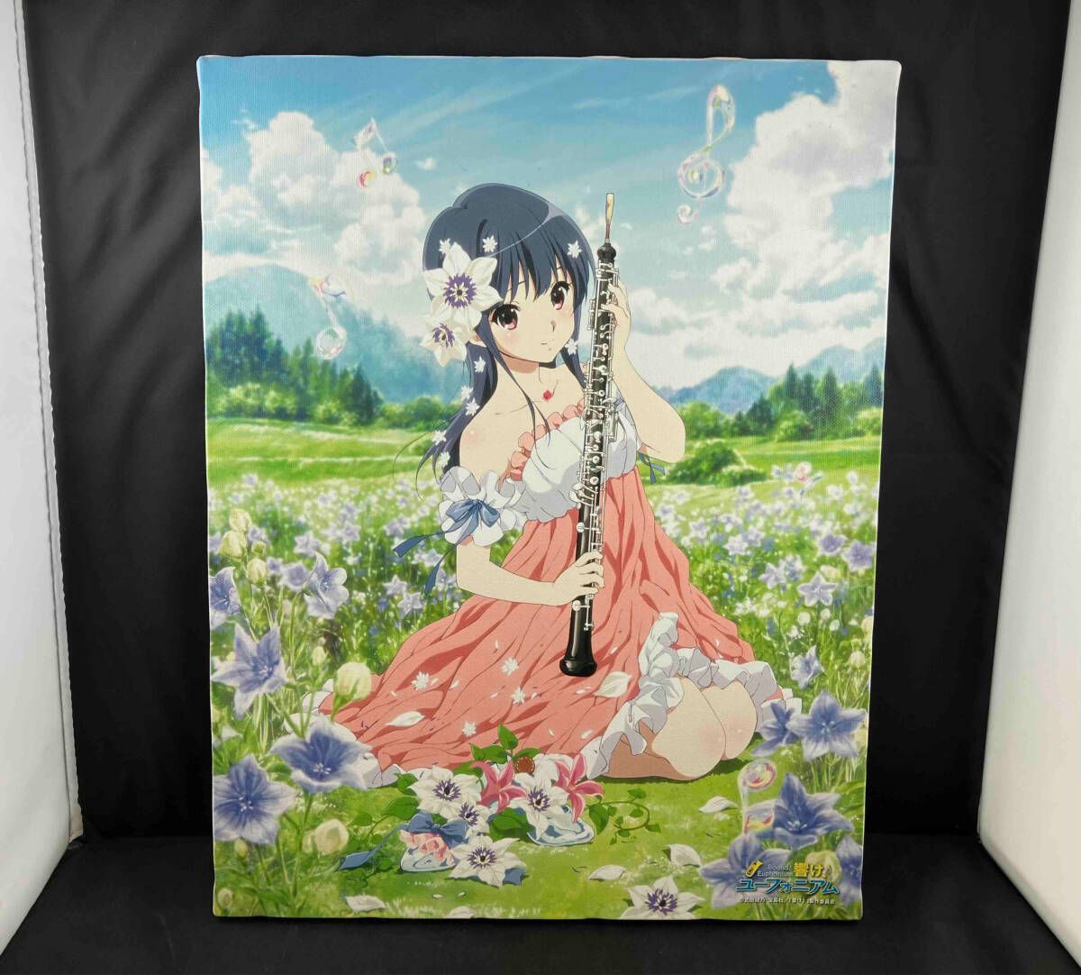 響け！ユーフォニアム キャンバスアート みぞれ 響け！ユーフォニアム キャンバスアート【みぞれ】【在庫品