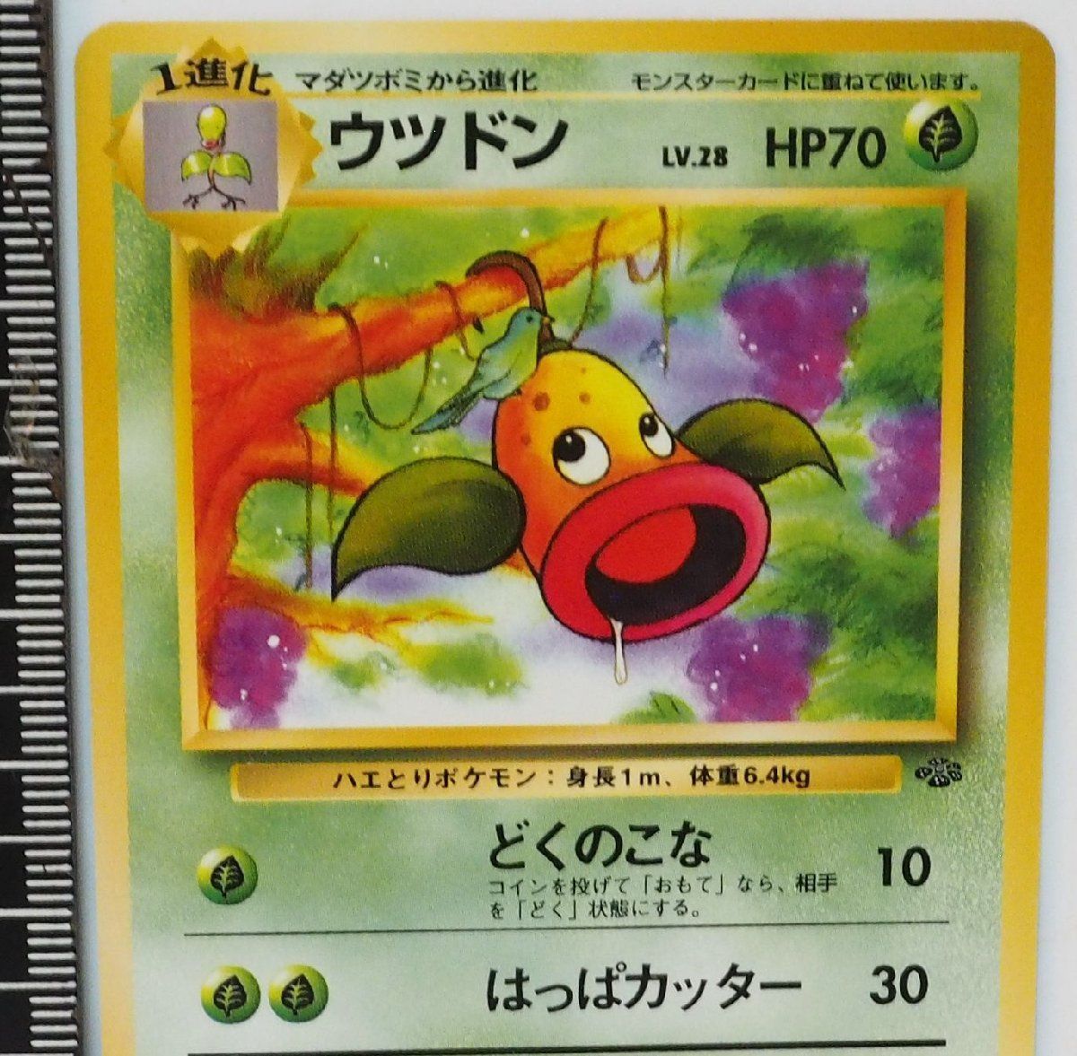 未開封】ポケモンカード 拡張パック第2弾 ポケモンジャングル 1