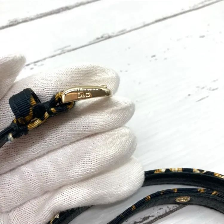 DOLCE & GABBANA ヒョウ柄ベルト
