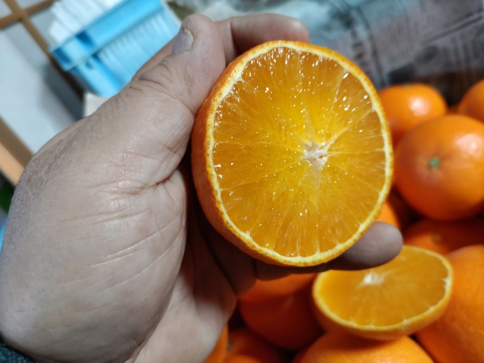 愛媛県産