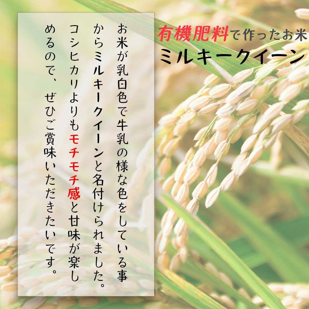 新米 滋賀県産 ミルキークイーン 令和7年産 精米 5kg 有機肥料で 新米 滋賀県産 ミルキークイーン 令和7年産 精米 5kg 有機肥料で