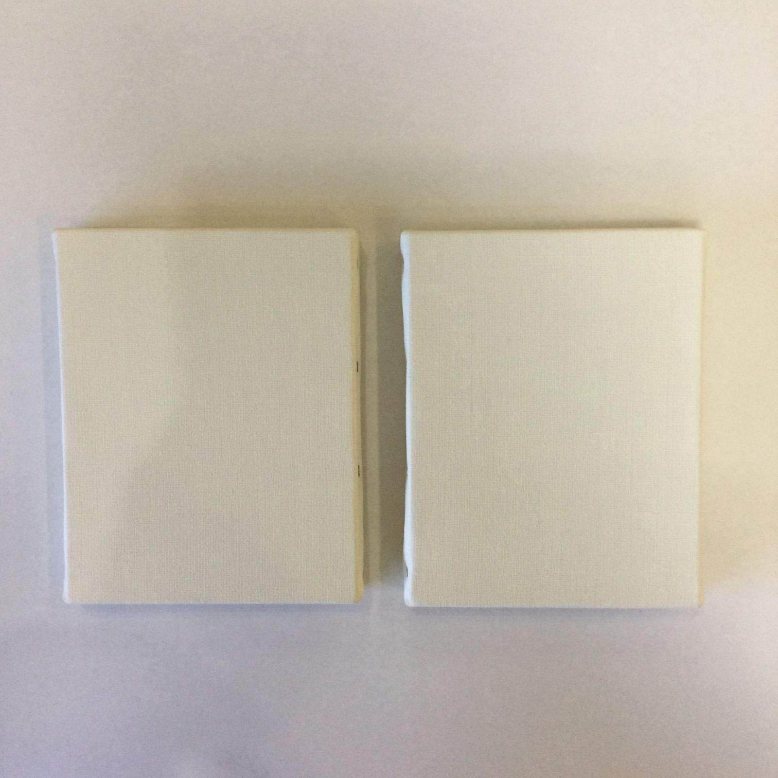 F0キャンバス　2枚セット