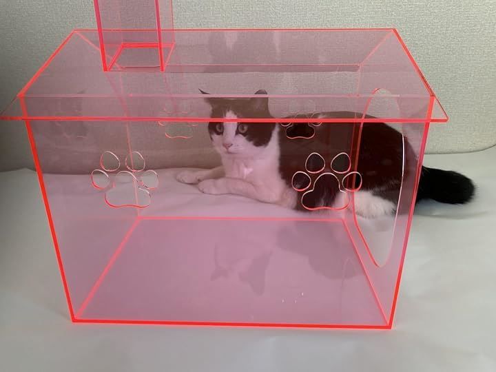 組み立て不要 グリーン
