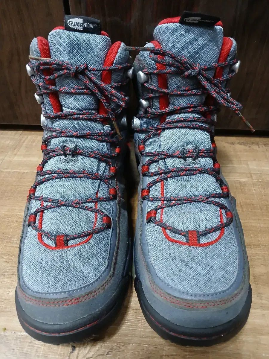 adidas アディダス GORE-TEX ゴアテックス 登山靴 グレー 赤 265mm