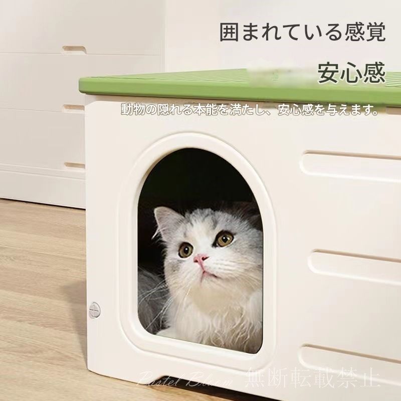 冬 通年
