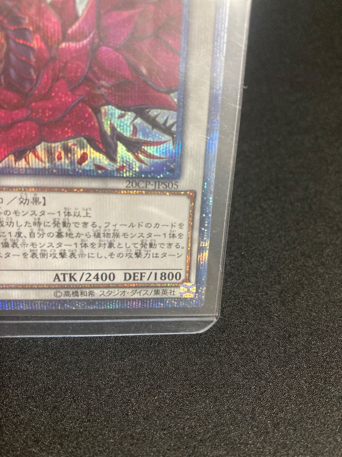 ブラックローズ　20th　美品 Amazon.co.jp: 遊戯王 / ブラック・ローズ・ドラゴン（20th