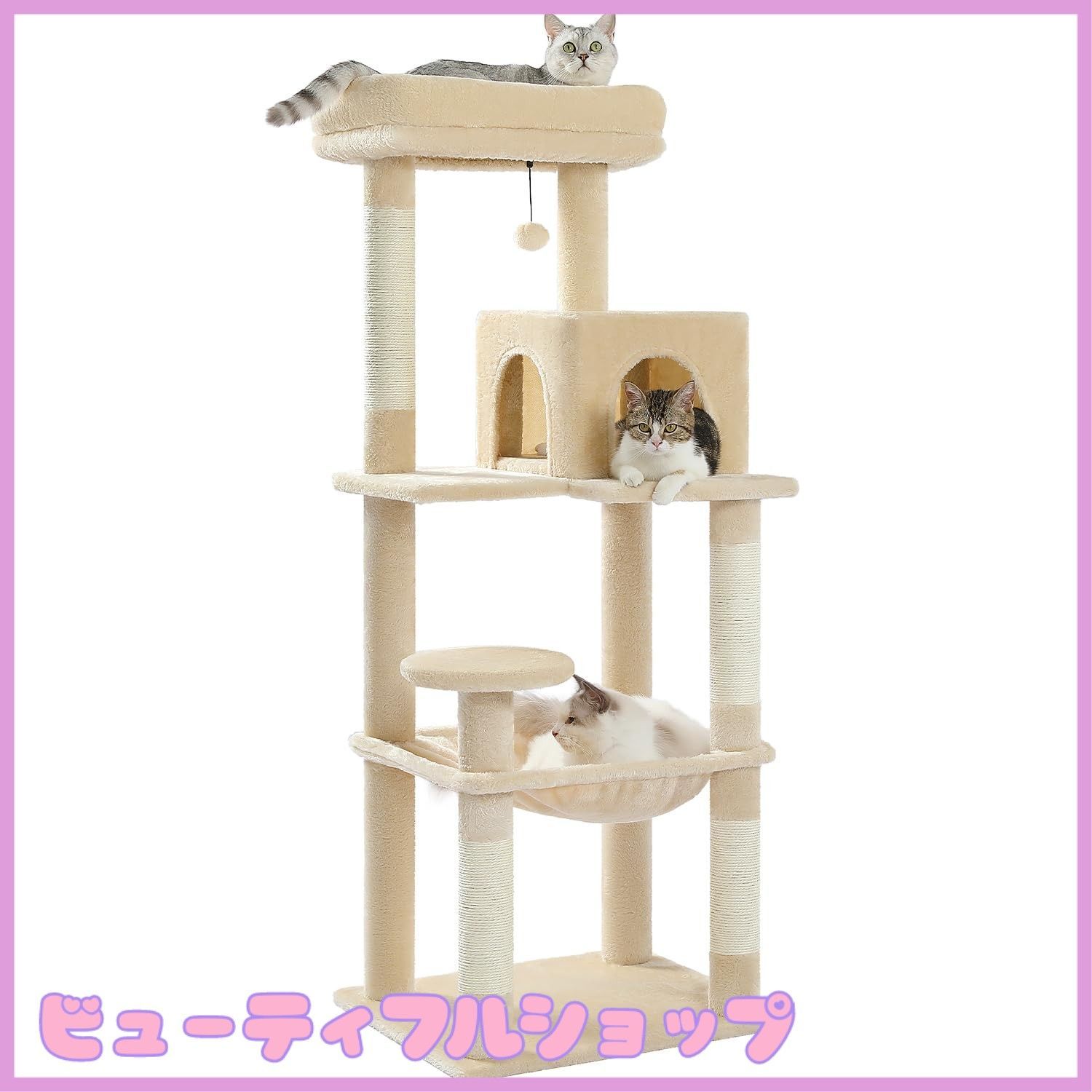 PROテ－プエコパック透明ラベル10個ST6K-10PN【キングジム】