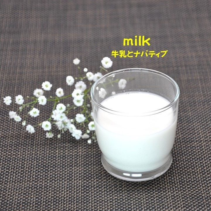 送料500円
