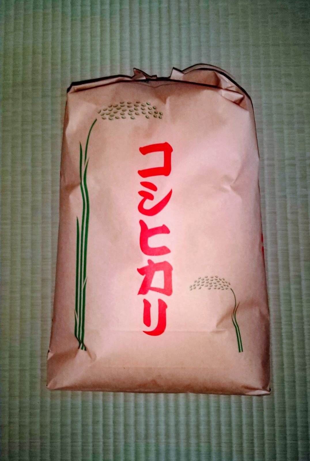令和6年幸手産　こしひかり（無洗米）19（9.5×2袋）