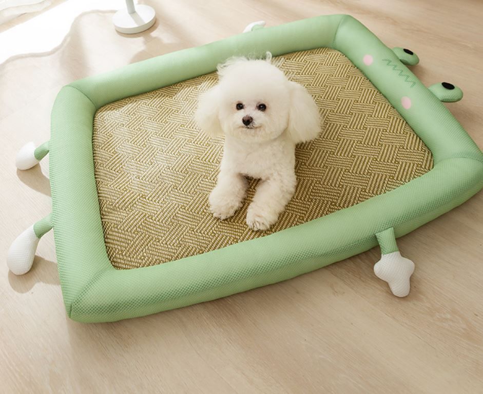 犬 猫