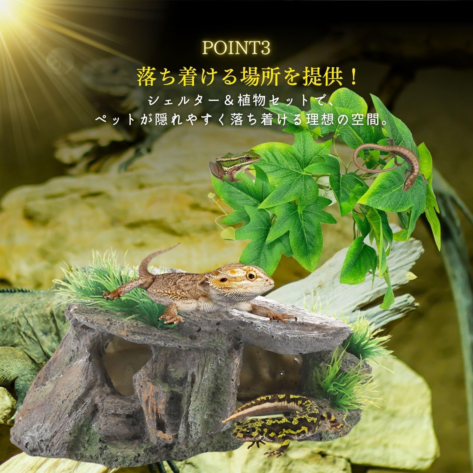 Archnote 爬虫類 シェルター レオパ カナヘビ トカゲ 亀 浮島