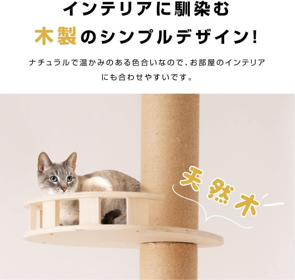 安定性