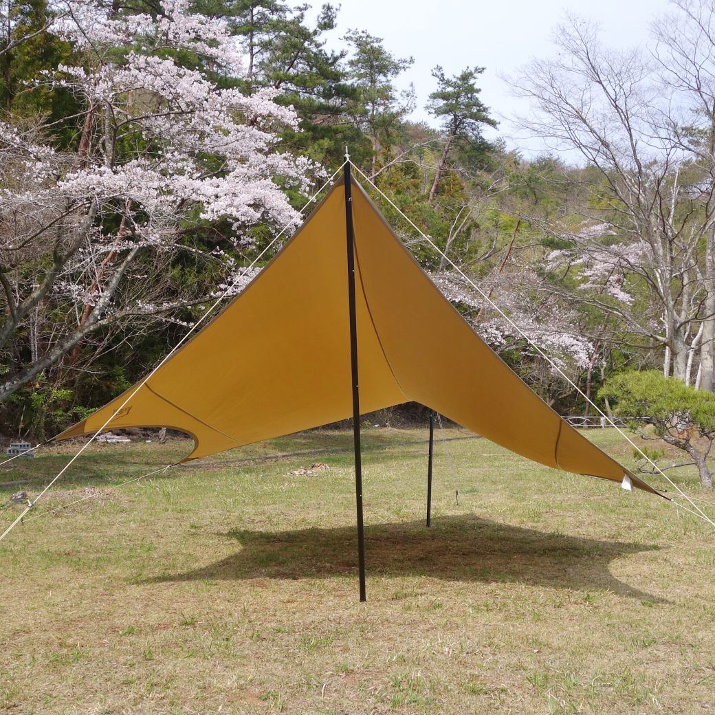 サバティカル SABBATICAL LUPINE M ルピネ M