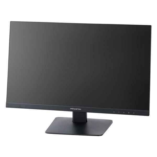  プリンストン 23.8型/1920×1080/HDMI D-Sub DisplayPort/ブラック/スピーカー：あり PTFBLD-24W ディスプレイ・モニター本体