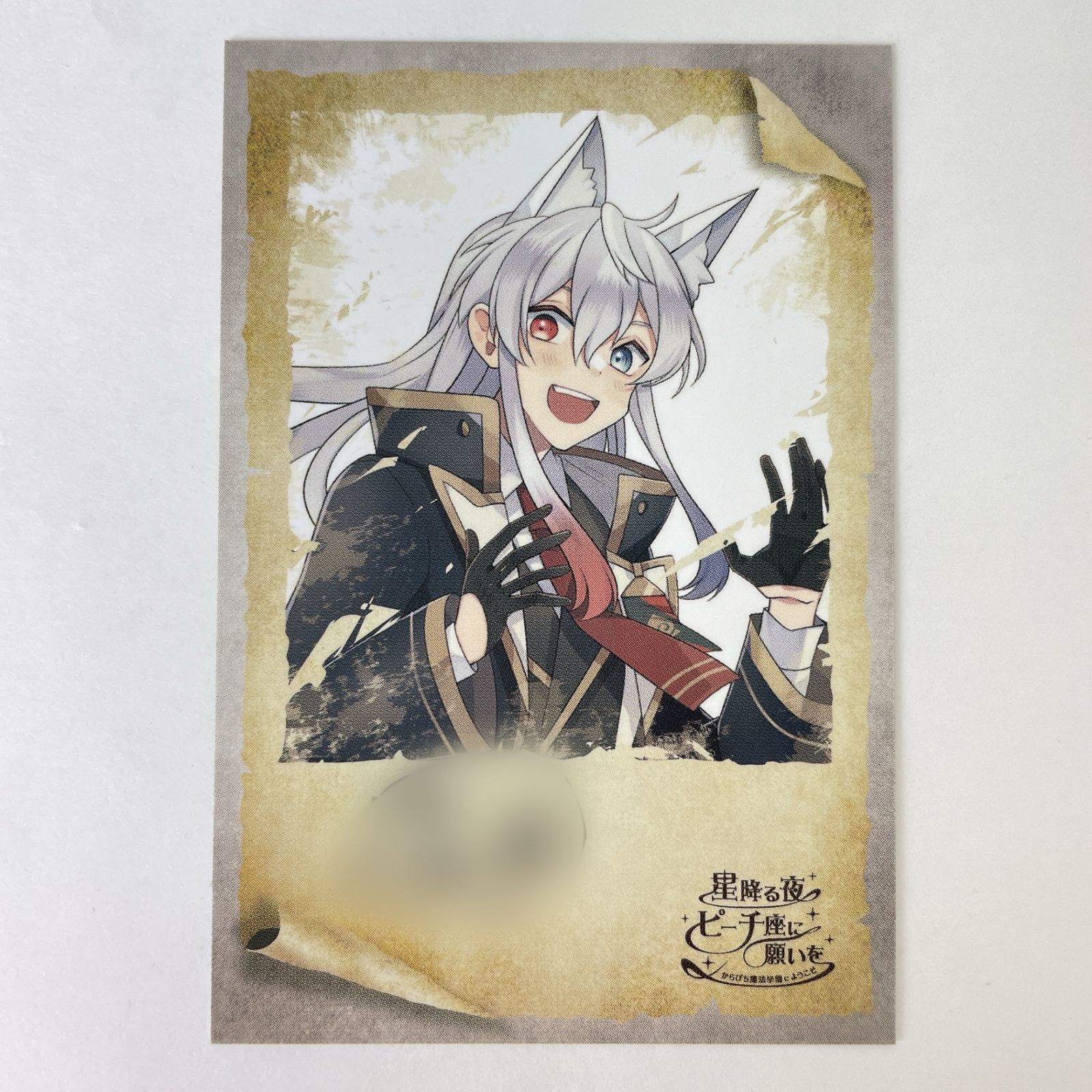 カラフルピーチPeachParty　トレーディングトレカ　どぬくさん　直筆サイン 直筆サイン入り] 【シークレット】 どぬく 等身 トレーディング