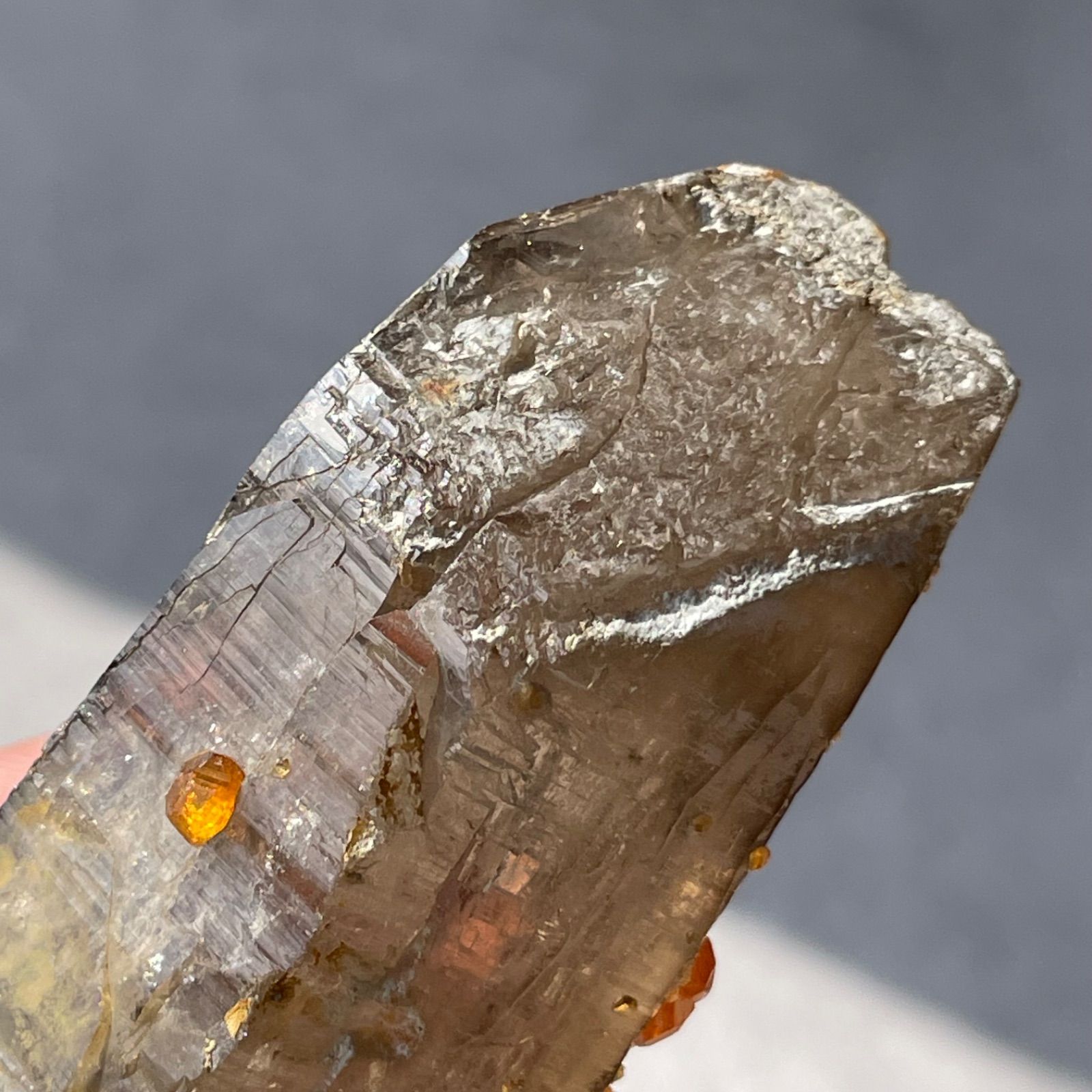 中国 福建省産♦︎SmokyQuartz Garnet|スモーキークォーツ