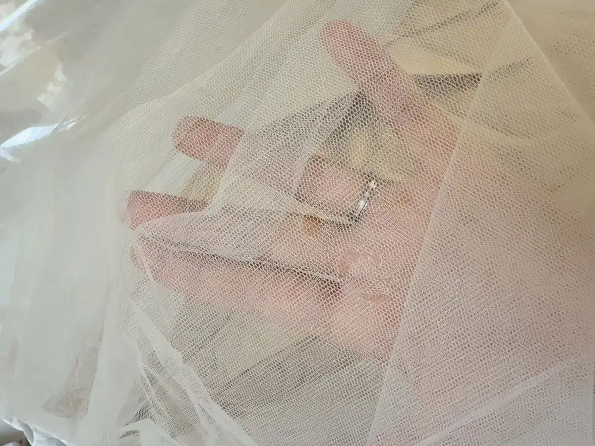 シュシュアンクラ 8y まとめ売り STEELWINDOWSANDDOORS_COM