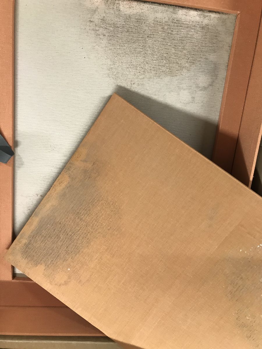 全3巻揃『オランダ国立ライデン民俗学博物館 シーボルト