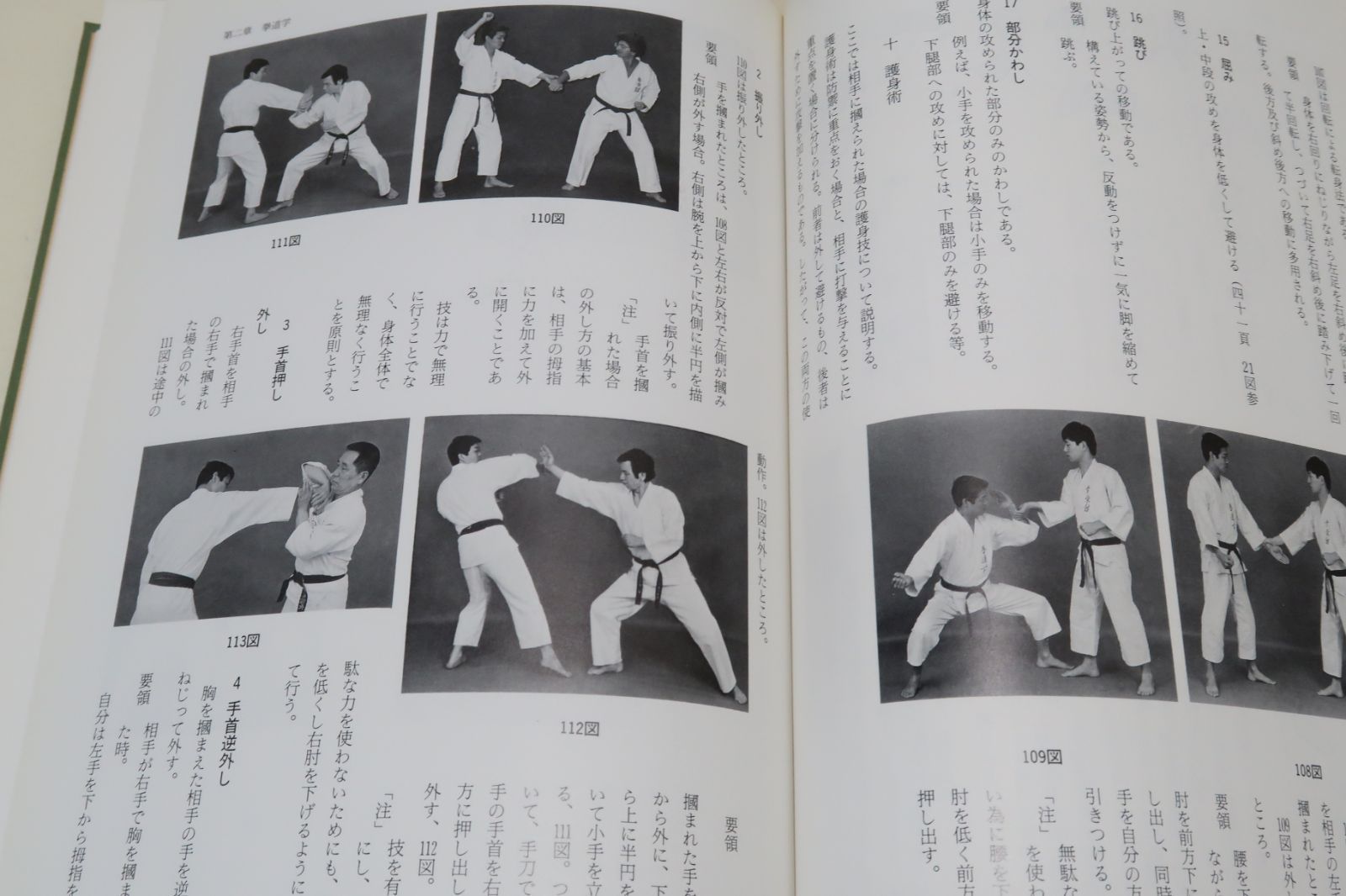 拳道学・二十一世紀の空手及び拳/拳道学創始者・大西栄三/拳道学の形成 