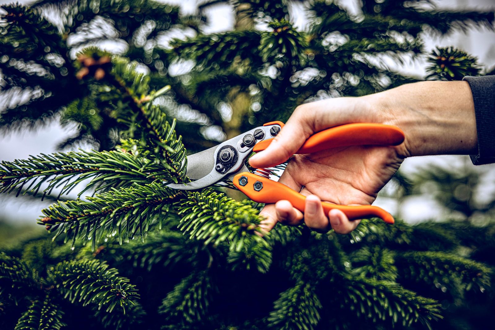 LOWE ライオン 剪定鋏 強力型 超軽量 11104