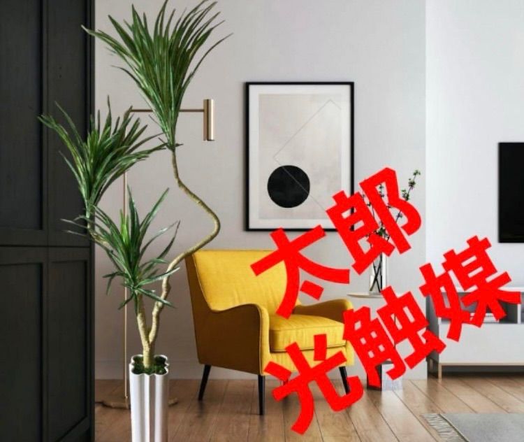 【良番】QUTOTEN backside works 利休-RIKYU-纏ふ鎧 良番】QUTOTEN backside works 利休-RIKYU-纏ふ鎧 - メルカリ