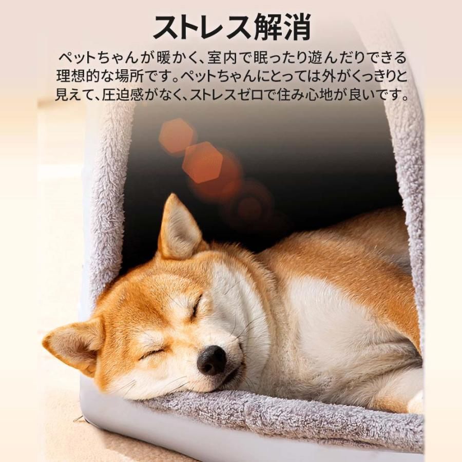 猫ハウス