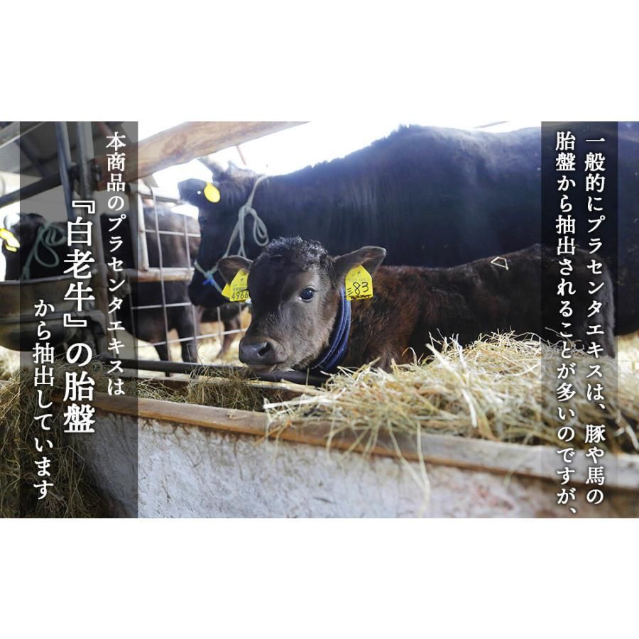 生プラセンタ 2本セット アヨロのピリカ 1本30ml 保湿 ターンオーバー