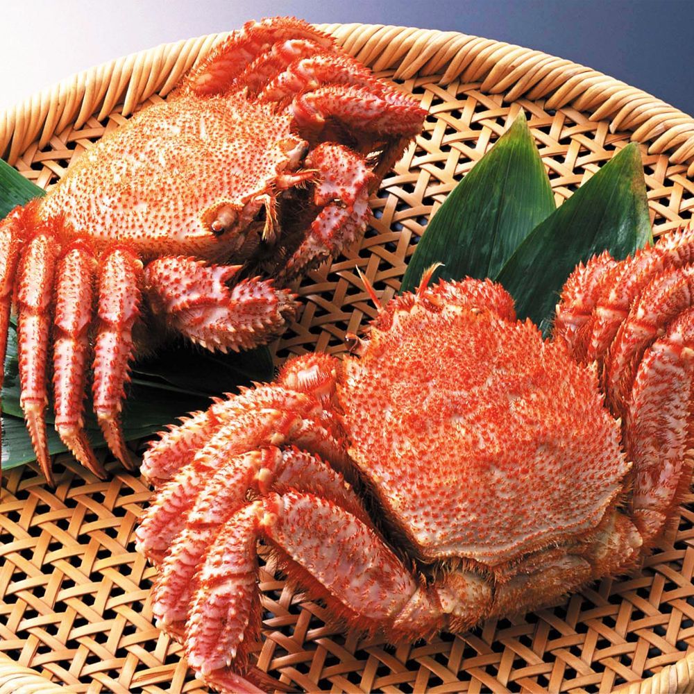 ふるさと納税 茹でたて花咲ガニ2.8kg詰合せ(チルド便) B-57007 北海道根室市 根室産 花咲ガニ 6～7尾 2ｋｇ詰合せ 花咲蟹 値段