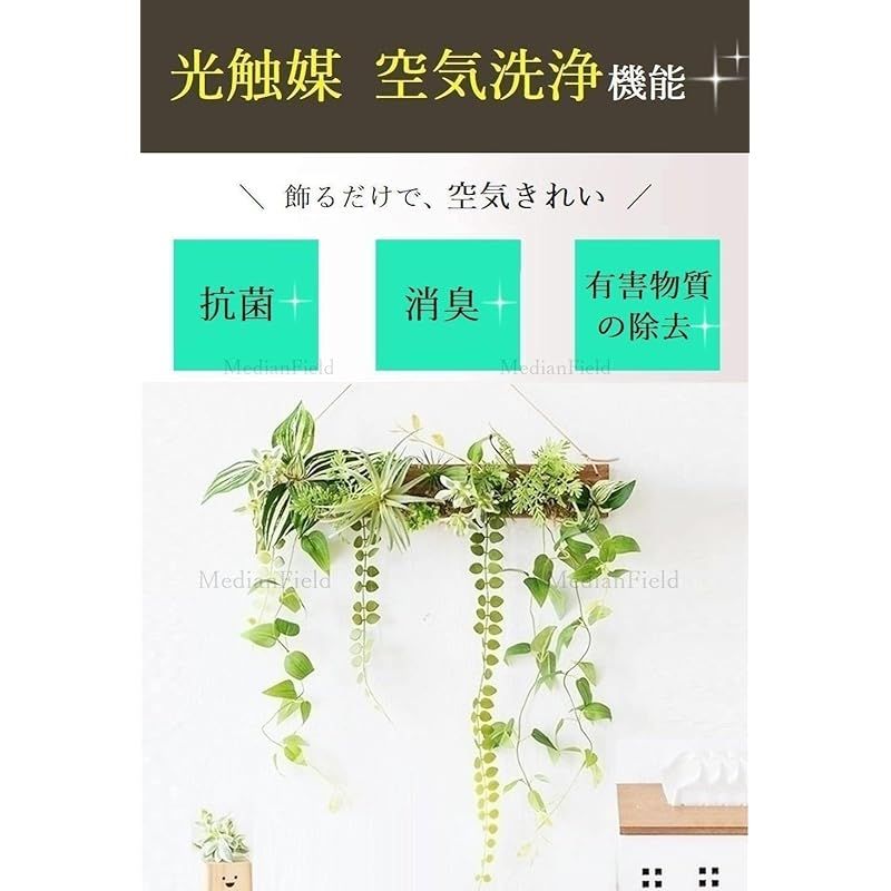 MedianField 【 観葉植物 光触媒 消臭 ＆ 抗菌 ウォールグリーン 】 フェイクグリーン 壁掛け 50cm×40cm フック付き 造花 フェイク おしゃれ 人工観葉植物 エアープランツ 室内 大型 フレーム イン 光触媒 観葉植物 MedianField セ 抗菌消臭 横長