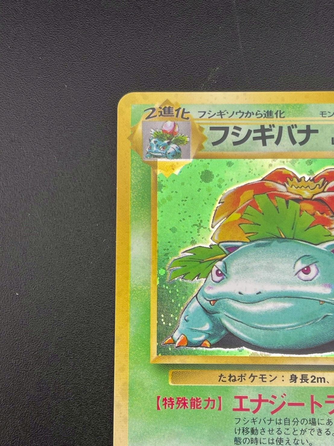 【中古品】フシギバナ　旧裏　LV.67 No.003 ★ PMCGシリーズ　拡張パック　スターターパック　 ポケモンカード　ポケカ 中古品】 フシギバナ 旧裏 LV.67 No.003 ☆ PMCGシリーズ 拡張