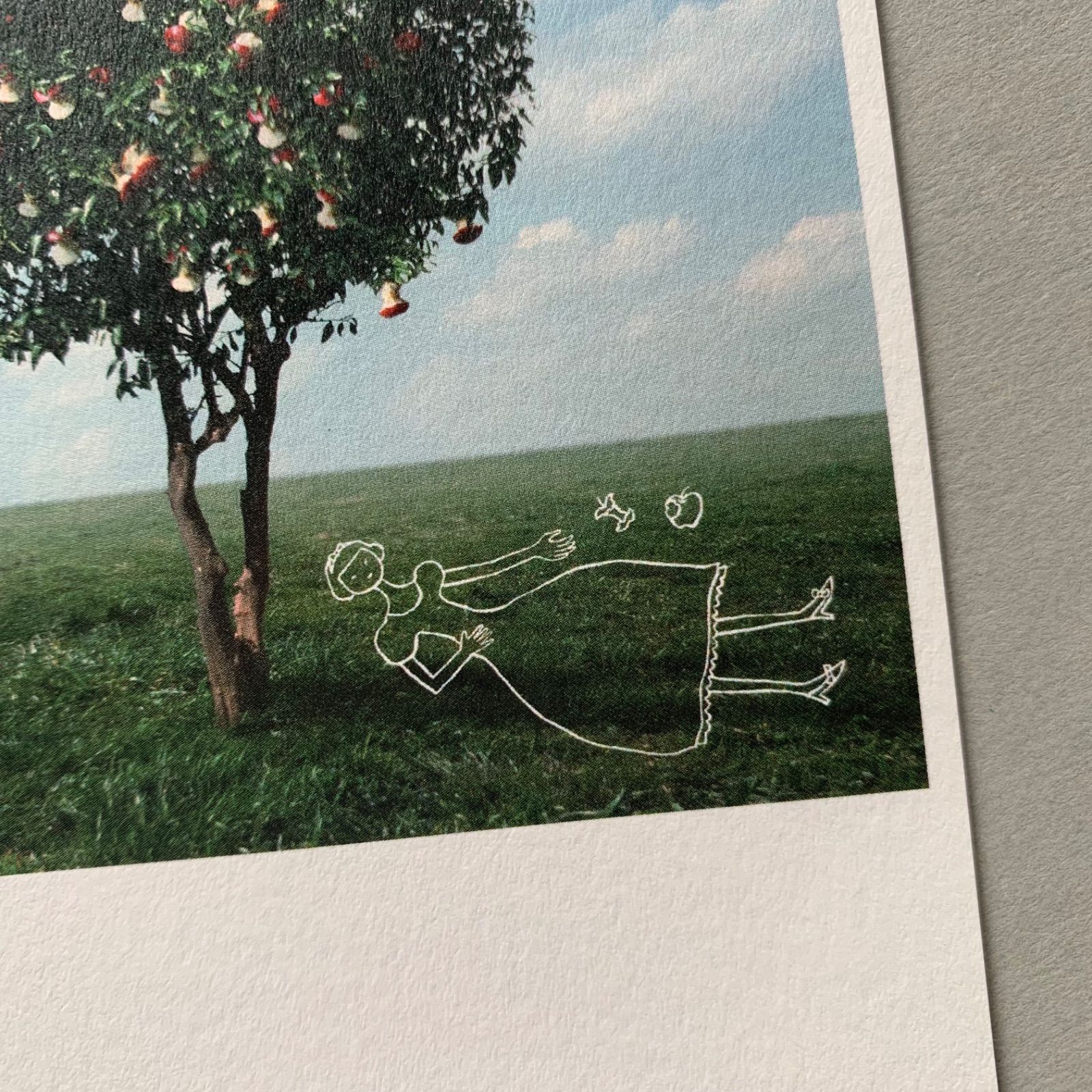 「Appled」ポストカード３枚セット　りんご　写真　ハガキ　白雪姫　アップル　景色-4