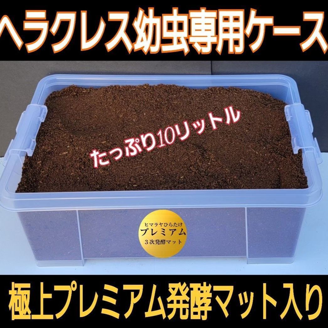 ☆ 藤倉英幸 ☆「 雪の電車通り 」 シルクスクリーン 全紙サイズ 新品！