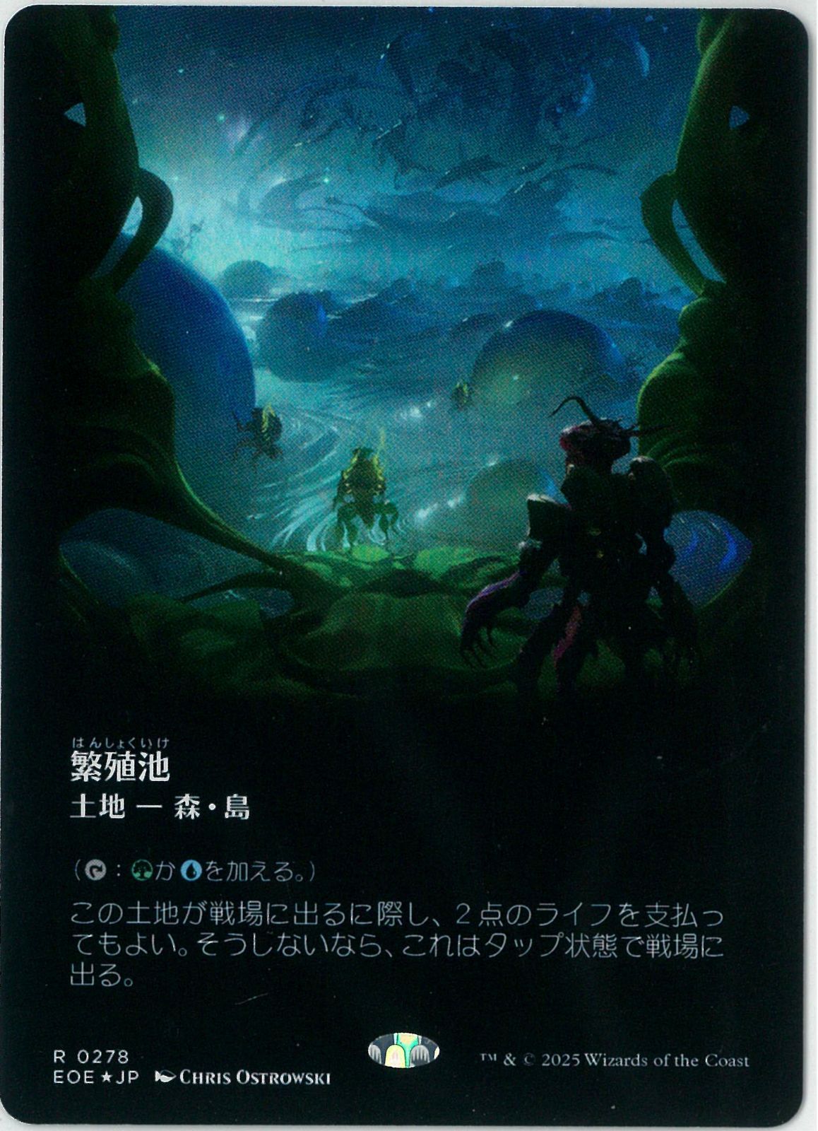 FOIL/MTG/日本語版/繁殖池/Breeding Pool/ボーダーレス/久遠の