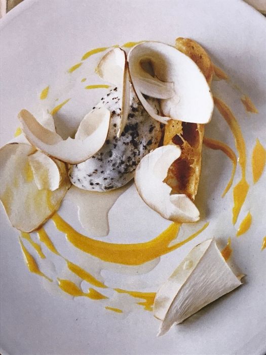 NOMA 料理 北欧料理の瞬間と場所 Phaidon NOMA 料理 北欧料理の瞬間と