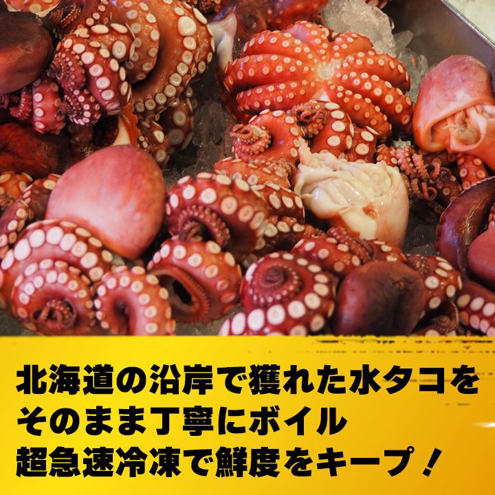 激安 格安 お得【北海道産】タコ 水たこ ミズダコ 特大 たこ足 なんと1本で 約700ｇ 前後 たこ焼き 蛸 - メルカリ