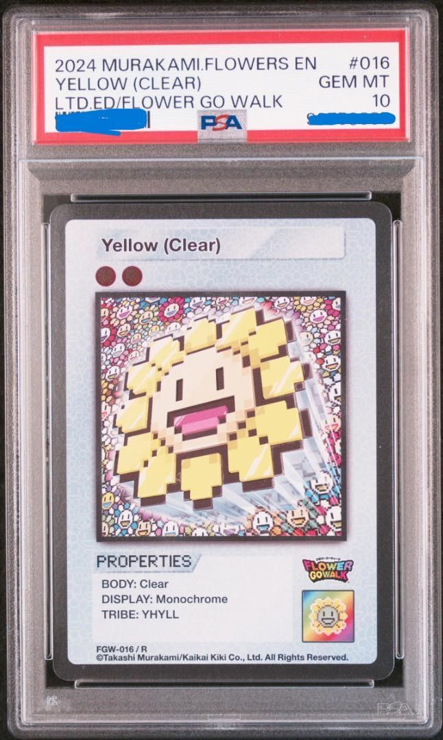 aca13 きのみ問題修理プログラム ポケモンバトルカードe+ ルビー